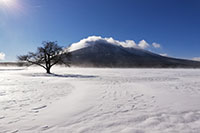 安比高原滑雪場