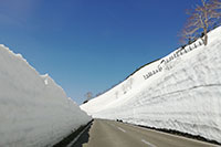 岩手八幡平雪道