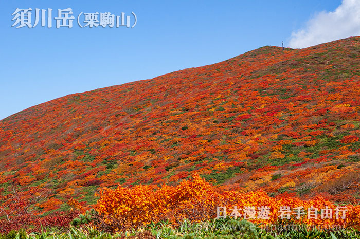 栗駒山北坡附近的紅葉