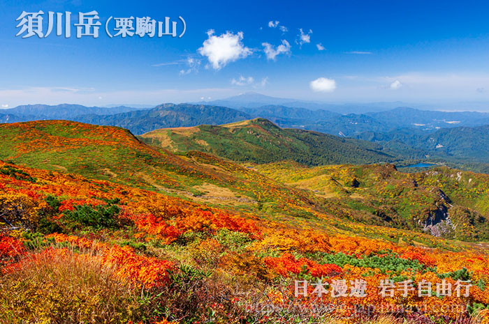 由栗駒山天狗岩眺望天馬尾根與烏海山以及須川登山道方向紅葉