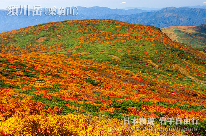 栗駒山天狗岩望天馬尾根以及須川登山道方向的紅葉美景