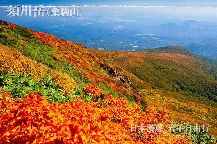 栗駒山天狗岩望南坡與中央登山道以及須川登山道方向的紅葉美景