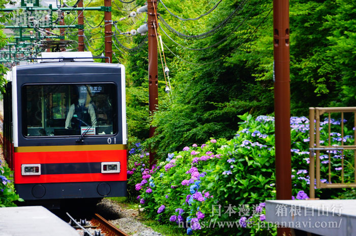 箱根有軌登山索道車風景