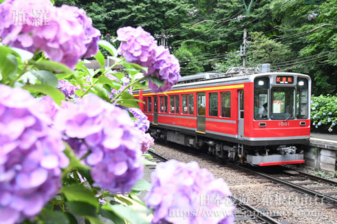 箱根登山鐵道