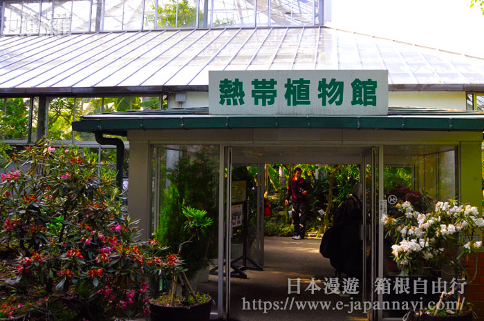 熱帶植物園