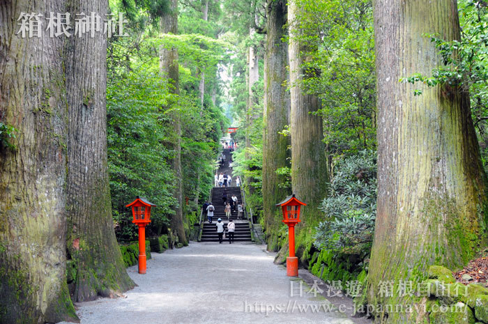 箱根神社參道