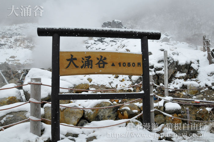 箱根大涌谷火山岩