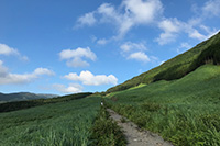 箱根仙石原芒草原