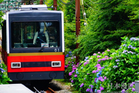 箱根軌道登山車