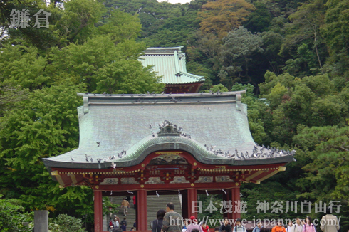 鶴崗八幡宮