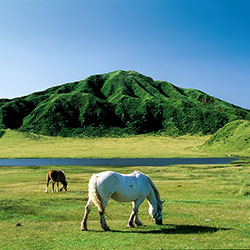 阿蘇山草千里