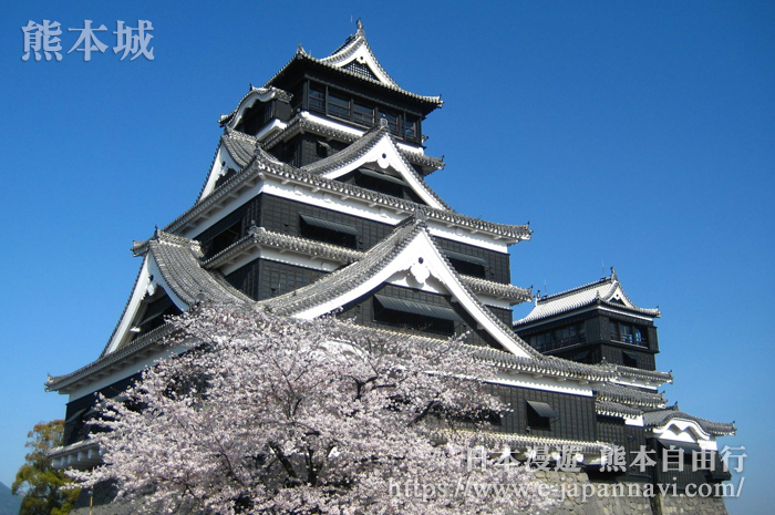 熊本城春季櫻花美景