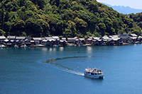 伊根灣遊覽船