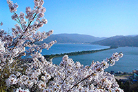 天橋立傘松公園