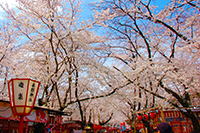 平野神社