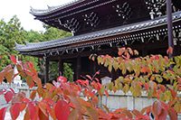 知恩院