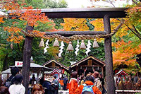 野宮神社