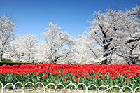 京都府立植物園