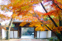 東福寺