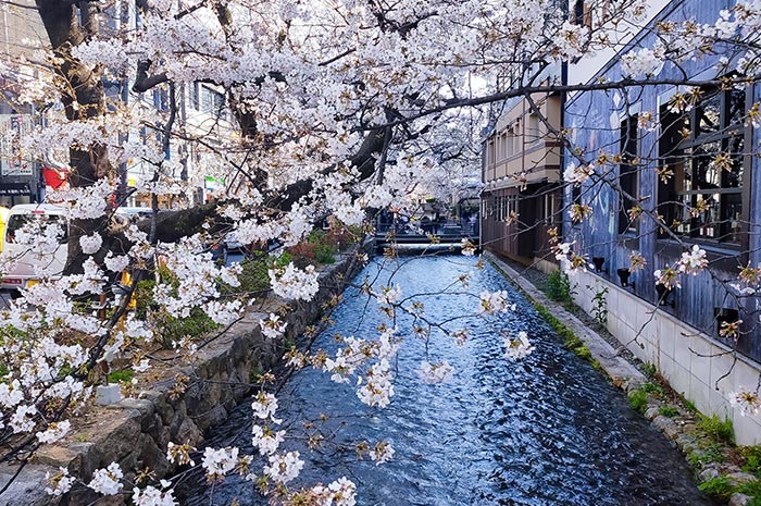 繁華街 木屋町