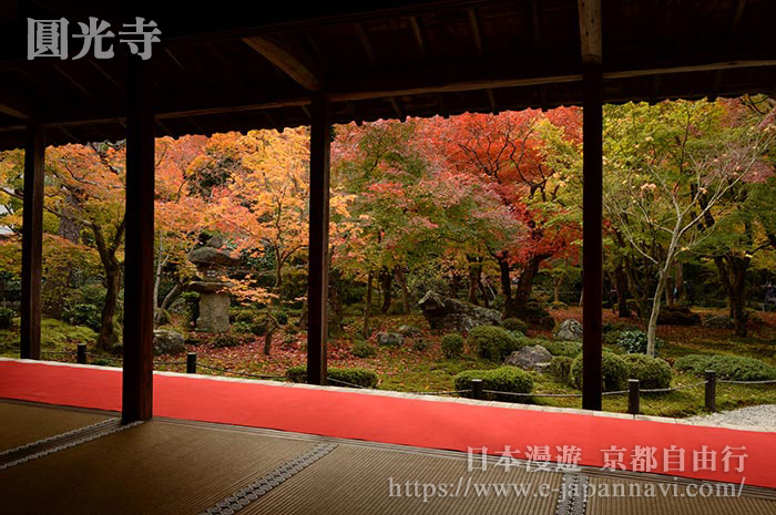 圓光寺美麗的庭園-杉苔竹林與紅葉交相輝映的秋景