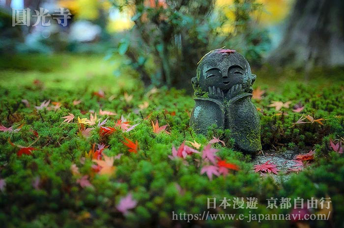 青翠欲滴的杉苔中一尊可愛的地蔵佛