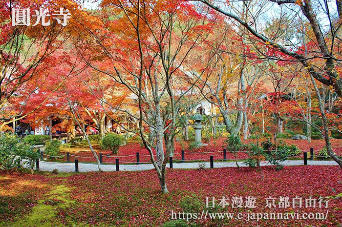 圓光寺紅葉美景