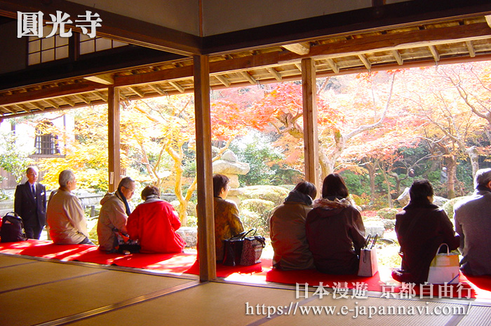 坐在廊下紅氈席上靜下心來欣賞十牛之庭的美景