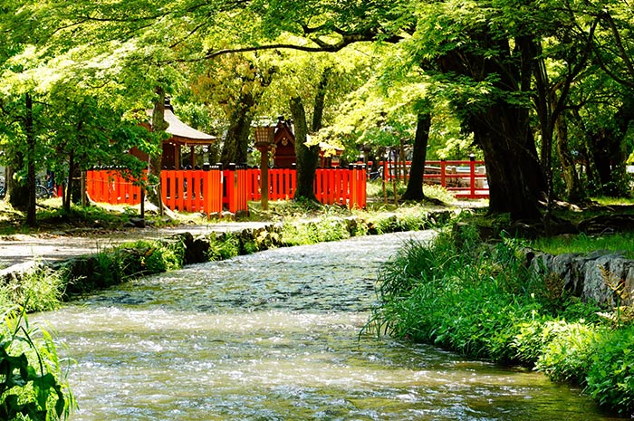 流經綠蔭掩映的神社的「ならの小川」