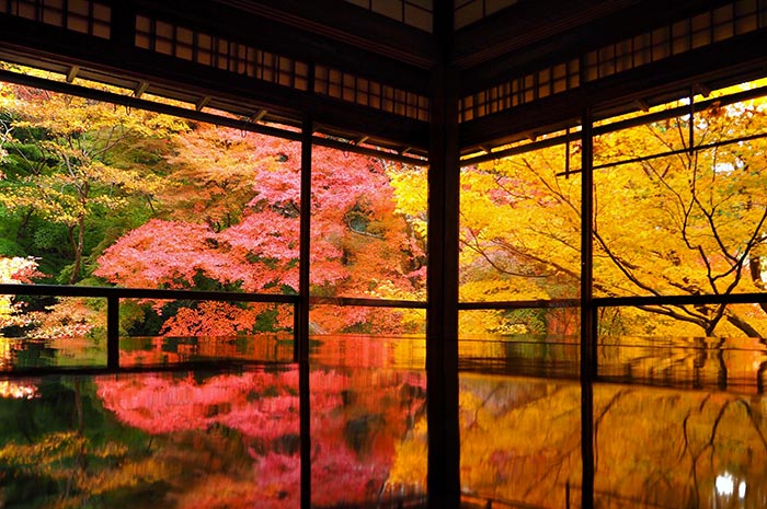 京都瑠璃光院