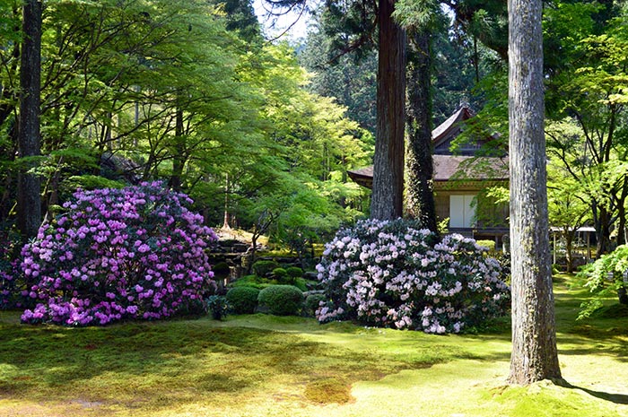 池泉回遊式庭園「有清園」