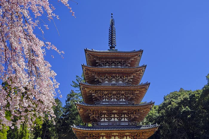 世界遺産醍醐寺