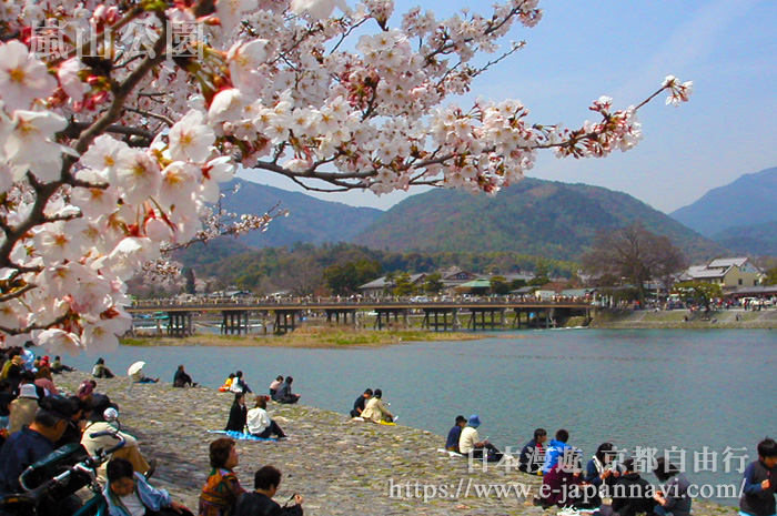 京都嵐山的象徵渡月橋