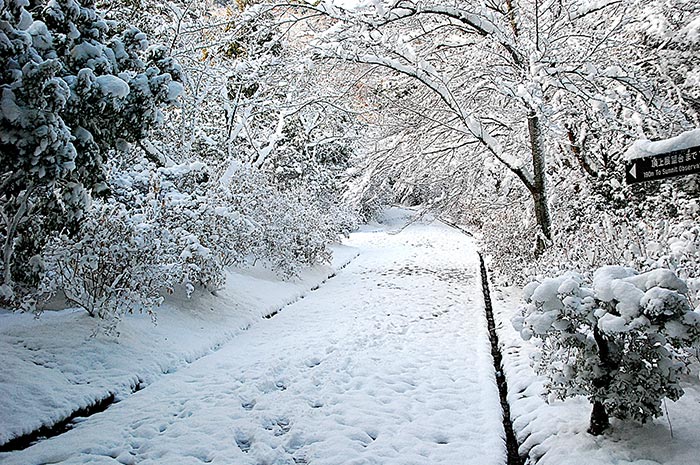 嵐山公園龜山地區雪景