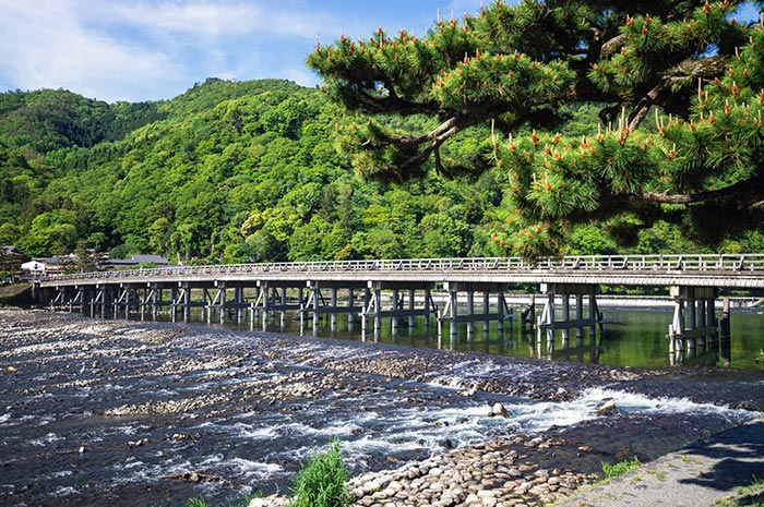 嵐山公園臨川寺地區渡月橋夏季風景