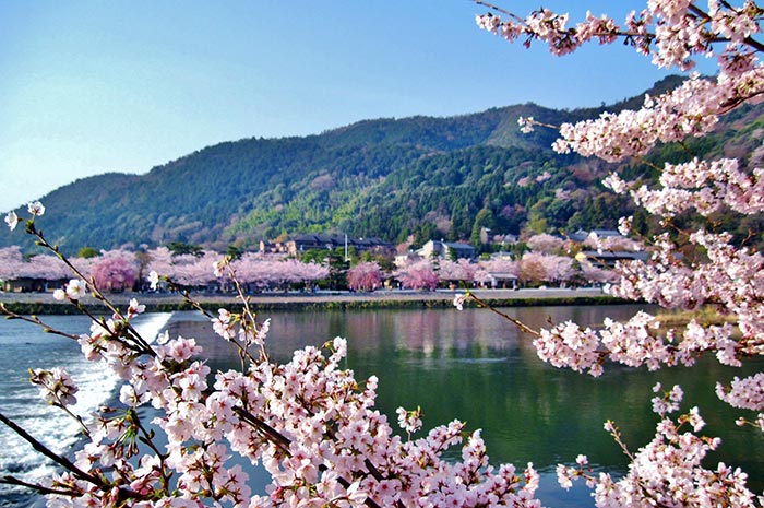 嵐山公園中之島