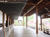 京都大覺寺 日本漫遊