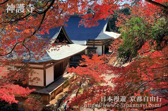弘法大師傳經布教的寺院　神護寺