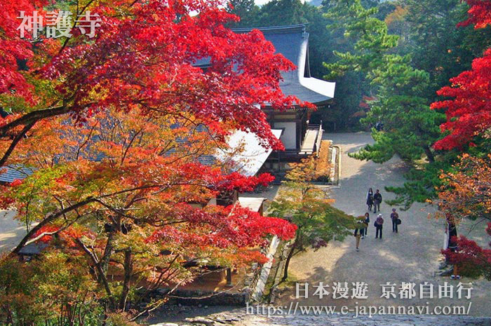 由神護寺金堂前俯瞰五大堂與毘沙門堂附近的紅葉美景