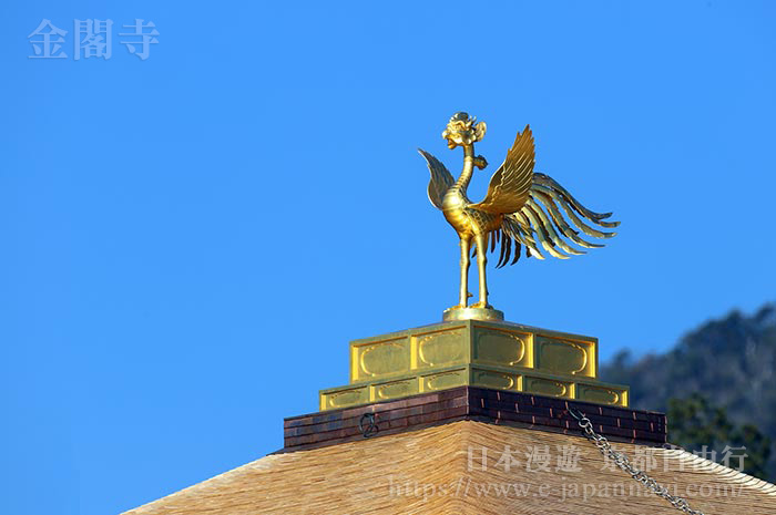 金閣寺屋頂上的金鳳凰
