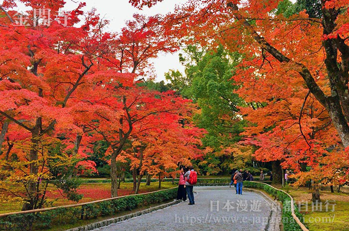 金閣寺內處處紅葉