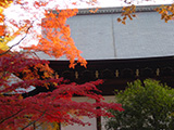 京都廣隆寺 日本漫遊