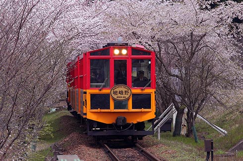 峨野軌道觀光小火車