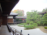 京都仁和寺 日本漫遊