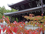 京都知恩院 日本漫遊