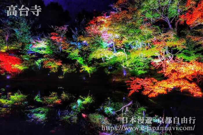 秋季紅葉美景 夜間有燈飾照明