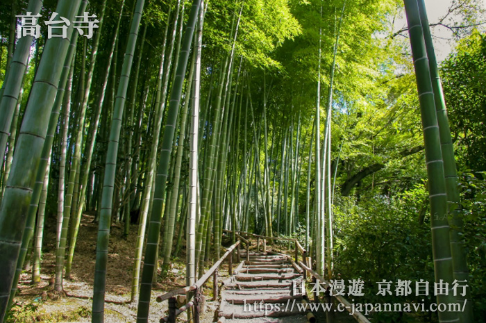 山上寂靜的竹林小道