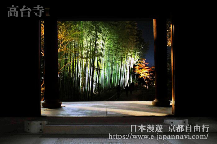 夜晚燈光中的竹林