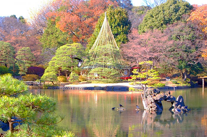 京都最老的公園-圓山公園