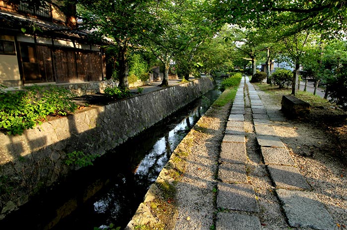 京都哲學之道街景